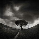 15193511_10154601186586598_4535052178453906581_n.jpg 15193511_10154601186586598_4535052178453906581_n.jpg