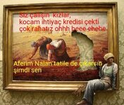 aviary-image-1480295118884.jpeg