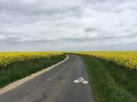 image.jpeg image.jpeg