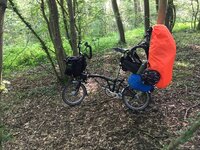 image.jpeg image.jpeg