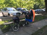 image.jpeg image.jpeg