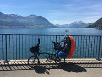 image.jpeg image.jpeg