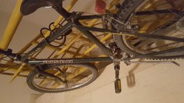 20161202_200646.jpg