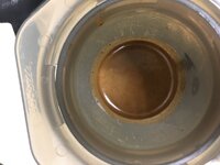 20161219_074816335_iOS.jpg