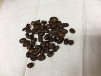 20161219_073810977_iOS.jpg