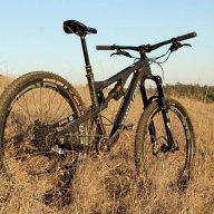 palerider
