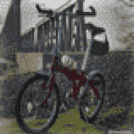 S.leblebici