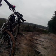 feyzun