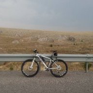 celik310