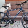 egesportive225