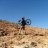Borntobewild
