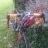 HasanOnur15
