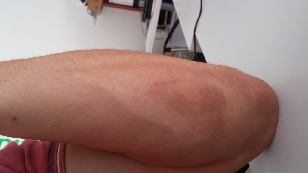 20160728_110309.jpg
