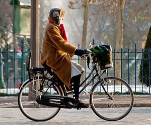 Cycliste_à_place_d'Italie-Paris_crop.jpg