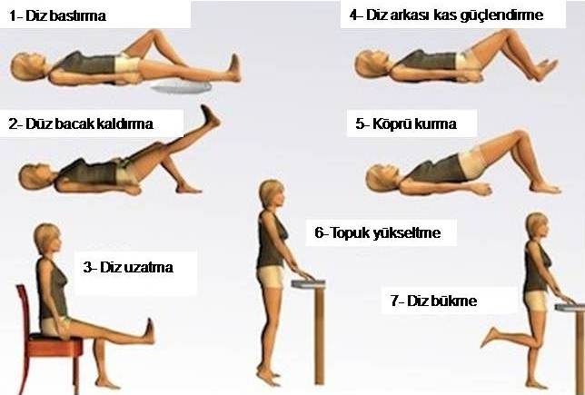 diz-egzersizleri.jpg