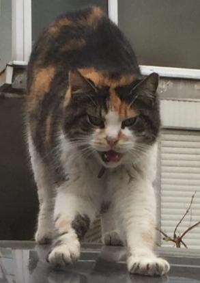 img-20200121-wa0012-jpg.217604