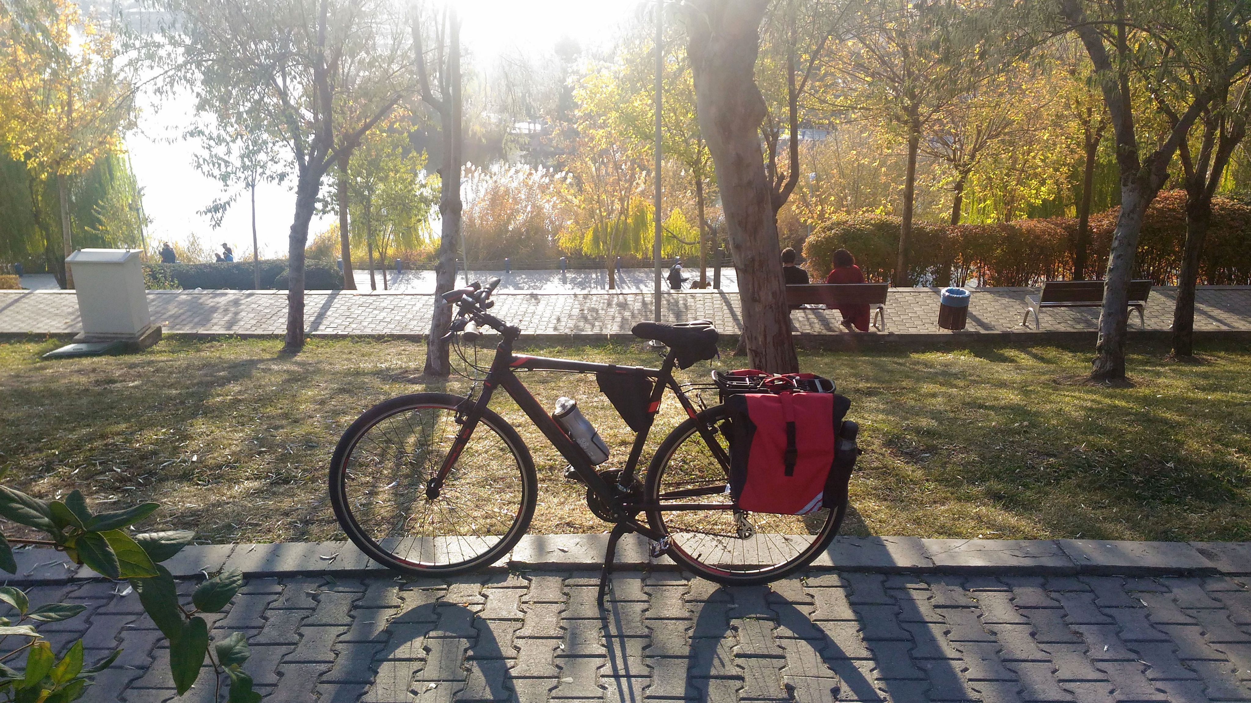 P_20201117_155550 kopyaa.JPG