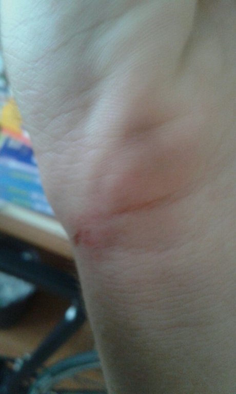 WhatsApp Image 2016-08-31 at 14.40.08 (2).jpeg